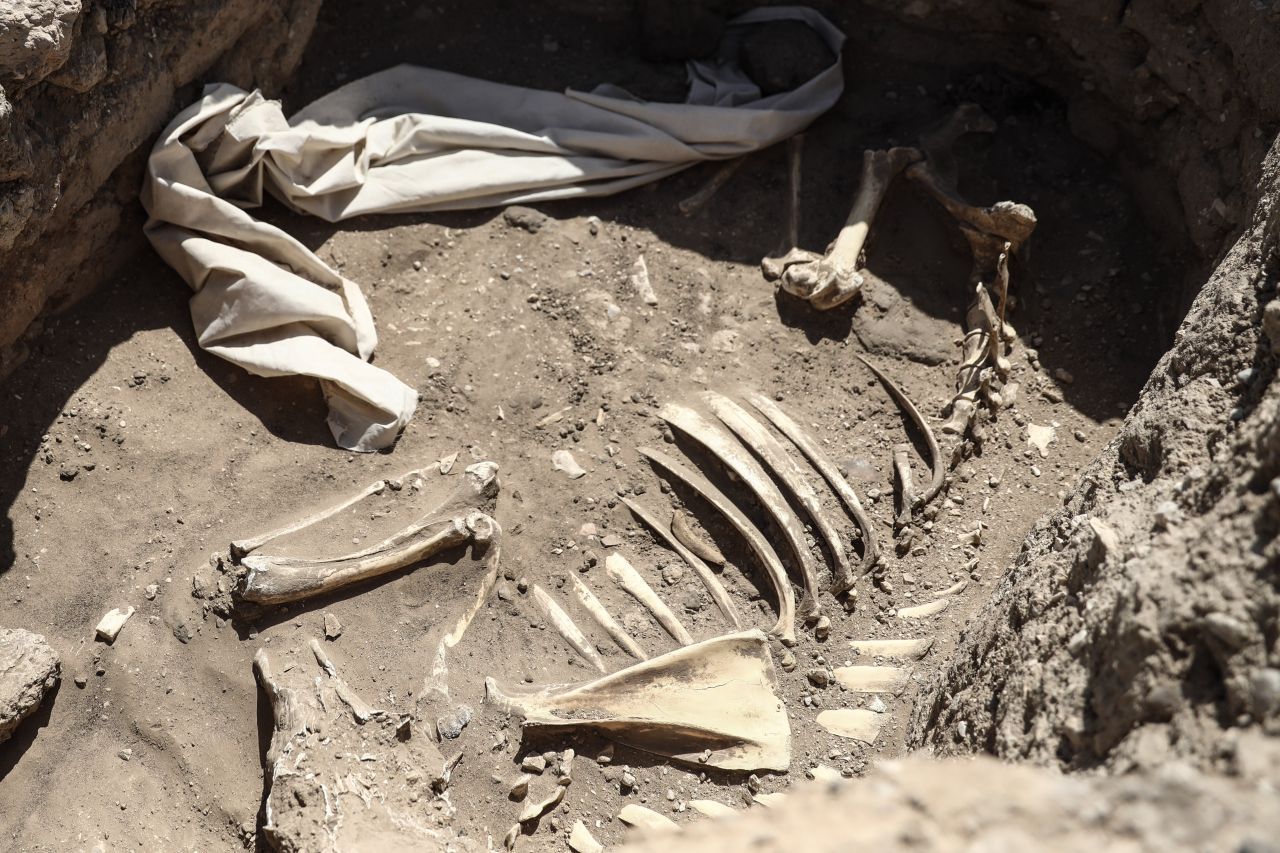 Neben Tierskeletten, zum Beispiel von Rindern, konnten die Forschenden auch menschliche Überreste bergen. Ein Friedhof der Siedlung mit unberührten Felsengräbern wurde ebenfalls entdeckt. 
