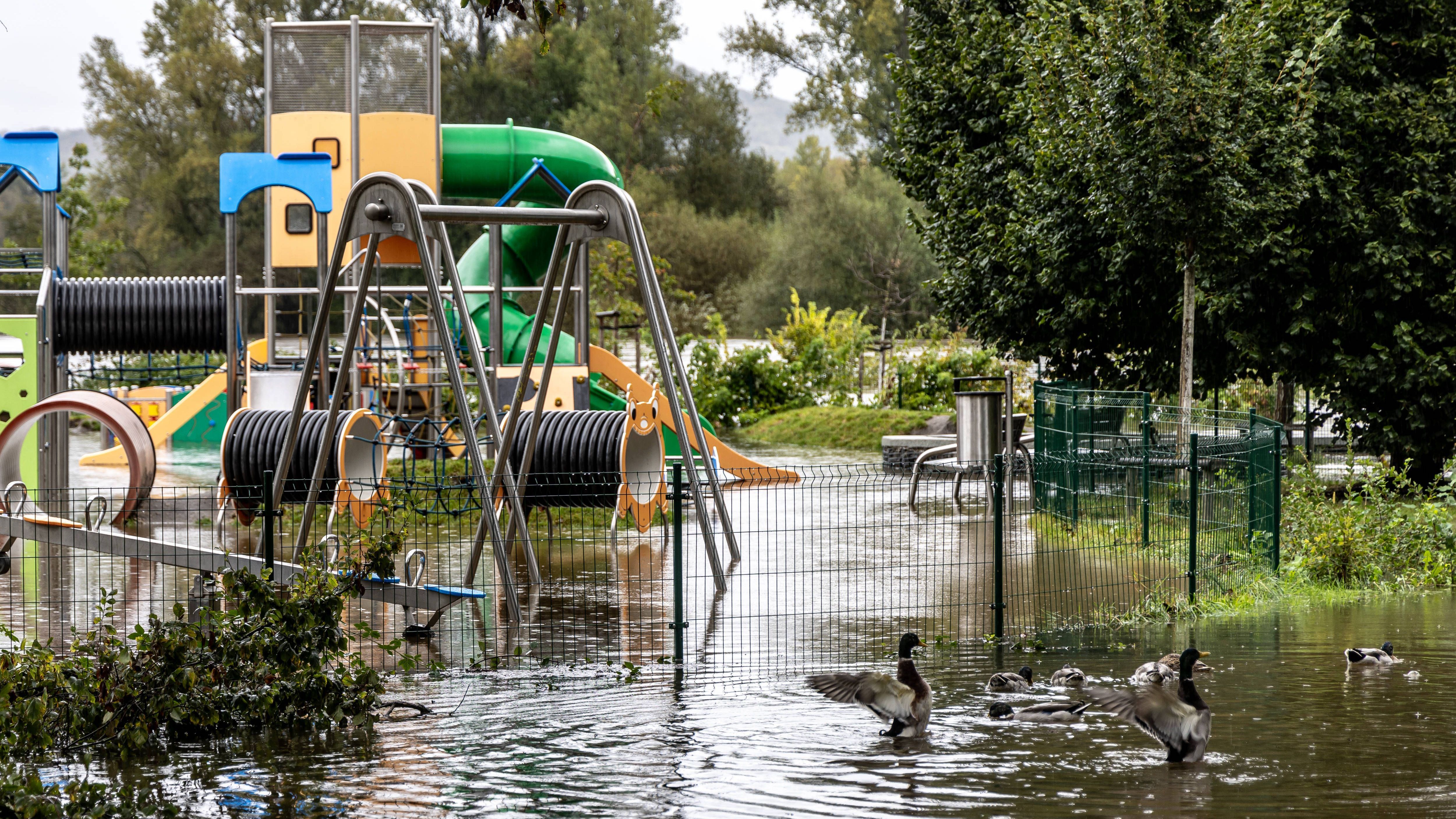 Der Spielplatz in Lovosice, Tschechien, ist durch das Hochwasser zum Plansch-Spaß für Enten geworden.