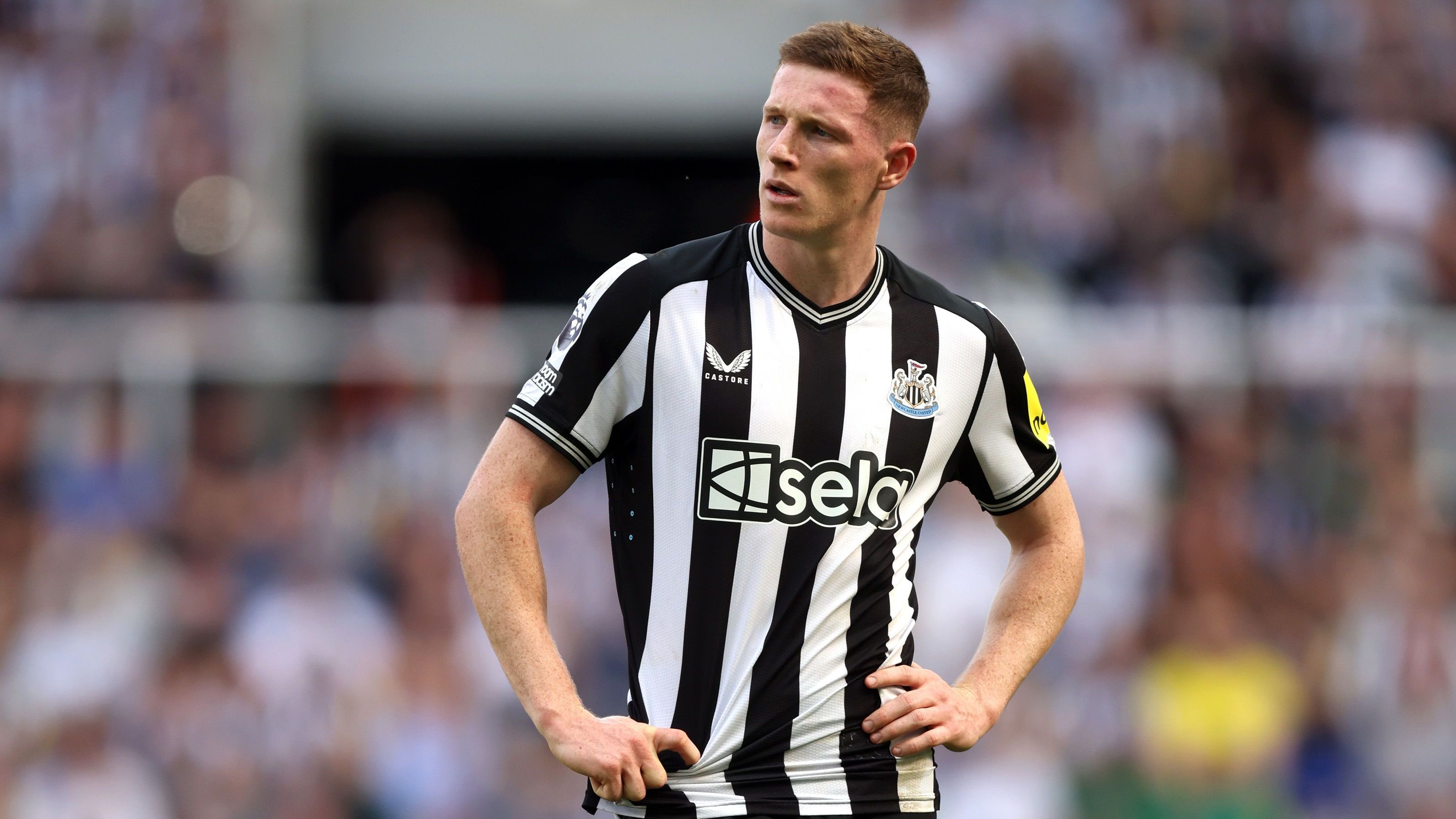 <strong>Platz 3: Elliot Anderson  (26,2 Millionen Euro Overpay)</strong><br>- Wechsel: Newcastle United zu Nottingham Forrest<br>- Position: Zentrales Mittelfeld<br>- Marktwert: 15 Millionen Euro<br>- Ablösesumme: 41,2 Millionen Euro