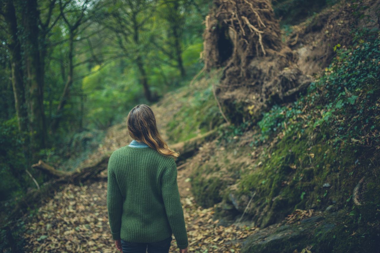 WALDEINSAMKEIT: Es beschreibt das Gefühl, allein im Wald zu sein. Rundherum nur Bäume und keine andere Menschenseele.