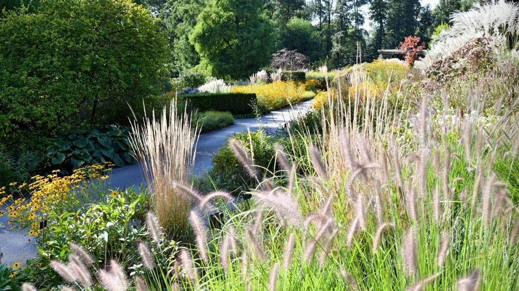 Ziergräser hübschen den Garten auf.