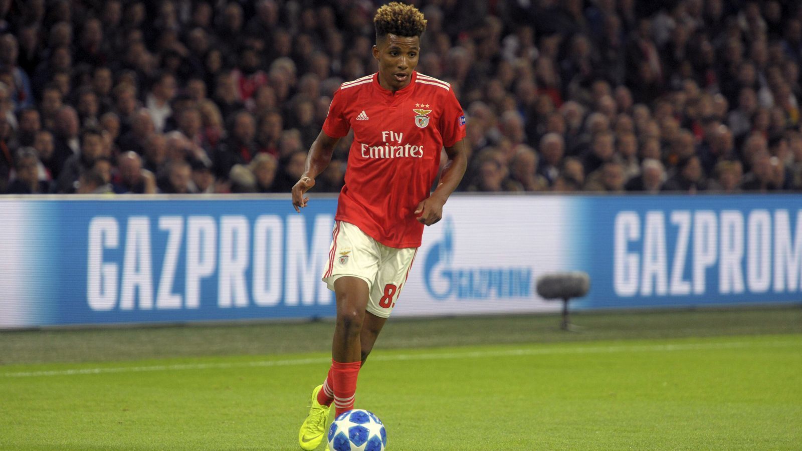 
                <strong>7. Gedson Fernandes (Benfica Lissabon)</strong><br>
                Alter: 19 JahrePosition: Zentraler MittelfeldspielerNationalität: Portugal
              