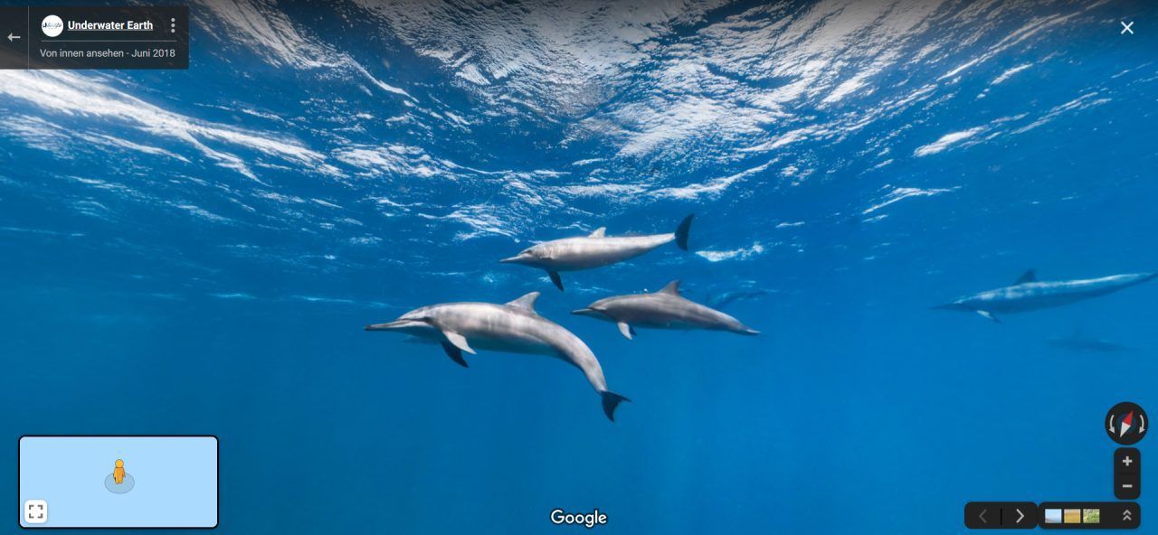 Sogar dieses Unterwasser-Foto einer Delfin-Familie vor Brasilien findest du bei Google Street View. Ist eben eine Wasserstraße.