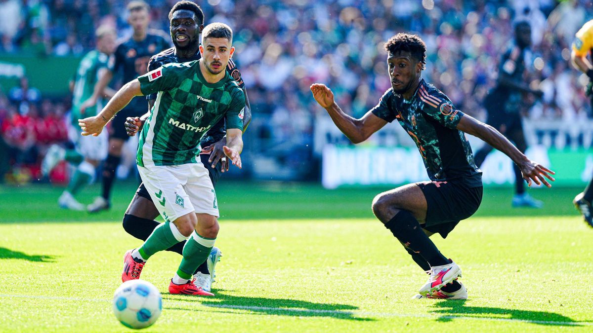 Romano Schmid (SV Werder Bremen, 20), Kingsley Coman (FC Bayern Muenchen, 11) GER, SV Werder Bremen vs. FC Bayern Muenchen, Fussball, Bundesliga, Spieltag 4, Spielzeit 2024 25, 21.09.2024 DFL REGUL...