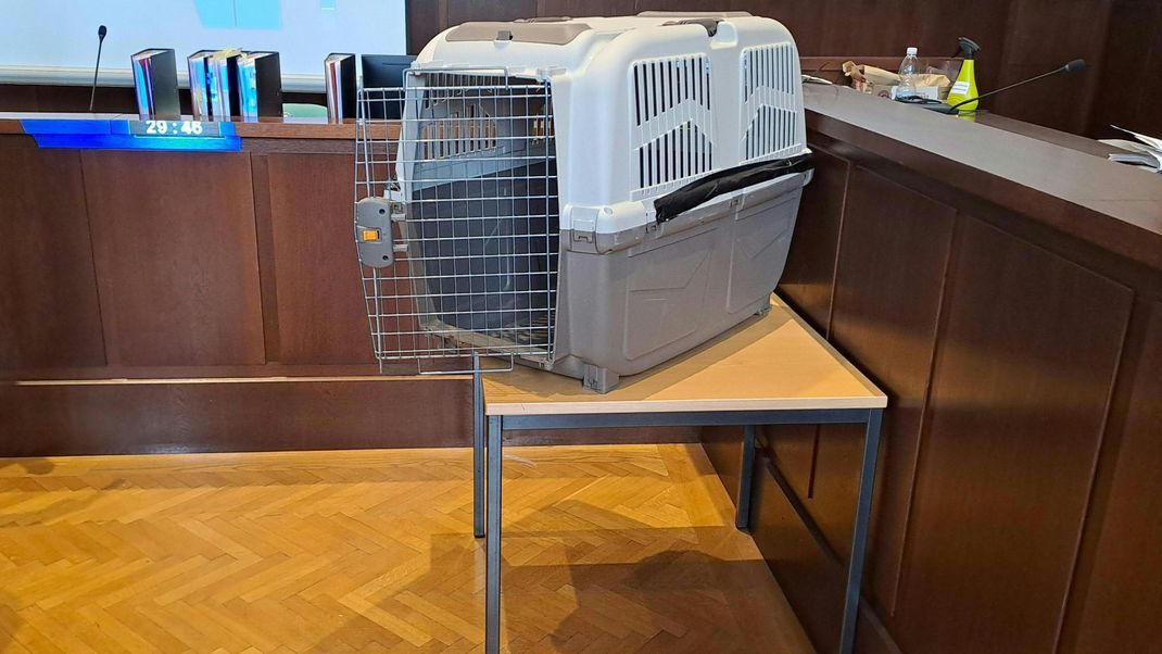Eine Mutter, die in Österreich ihr Kind grausam gequält hatte und es mehrfach in eine Hundebox sperrte, muss nun wegen versuchtem Mord für 20 Jahre in Haft.
