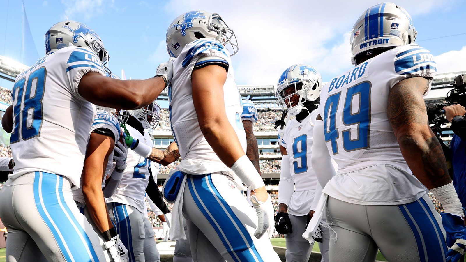 
                <strong>Noch im Playoff-Rennen in der NFC: Detroit Lions (7-8)</strong><br>
                &#x2022; Week 17: vs Bears<br>&#x2022; Week 18: @Packers<br>
              