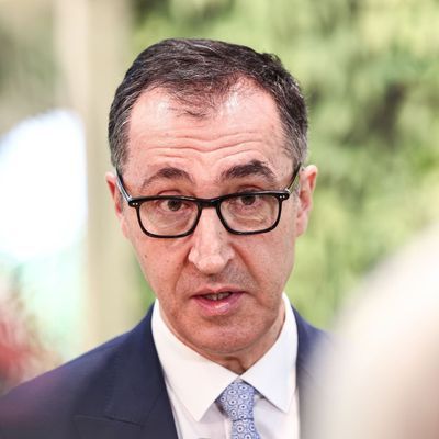 Landwirtschaftsminister Cem Özdemir