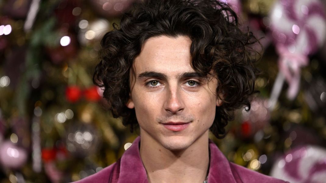 In der Filmwelt kommt momentan niemand an ihm vorbei: Timothée Chalamet. Wie viel Geld bringt sein Erfolg ihm ein?