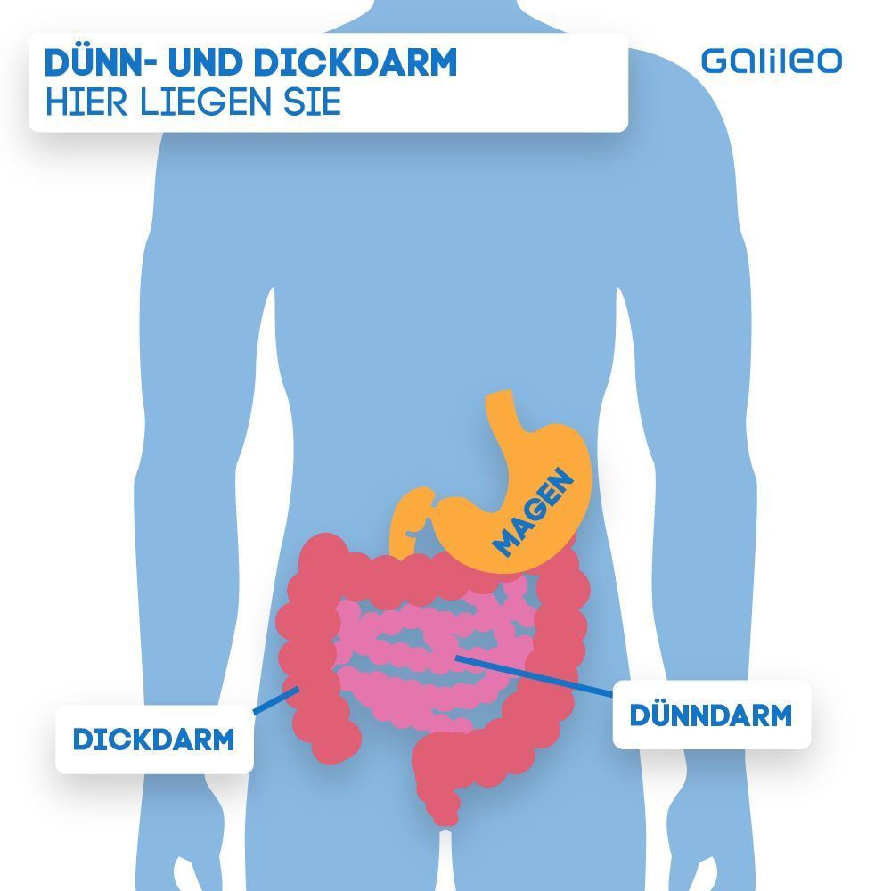 Laktoseintoleranz: Das passiert in deinem Bauch - oder eben nicht