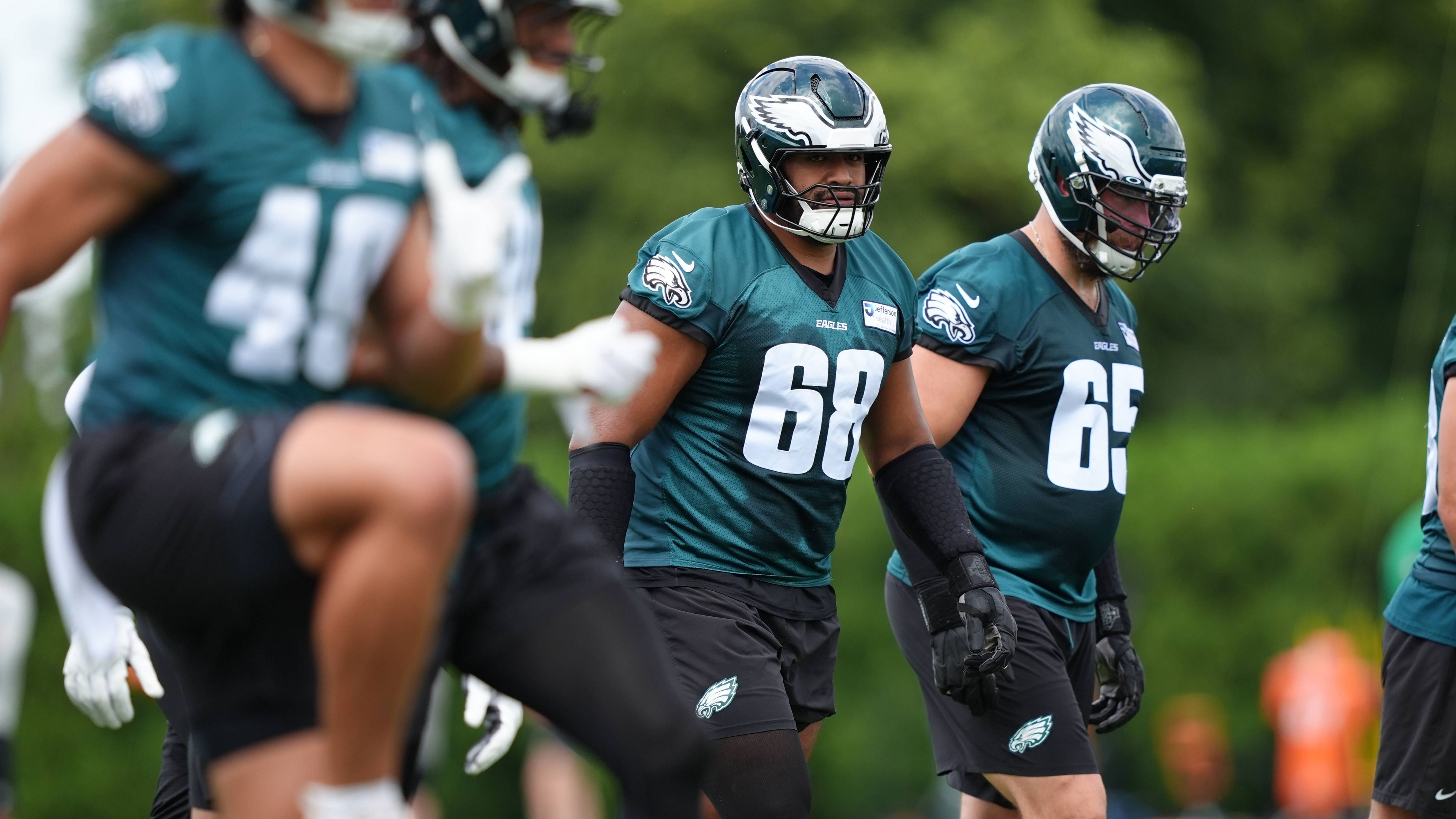 <strong>Philadelphia Eagles (12 Prozent)</strong>