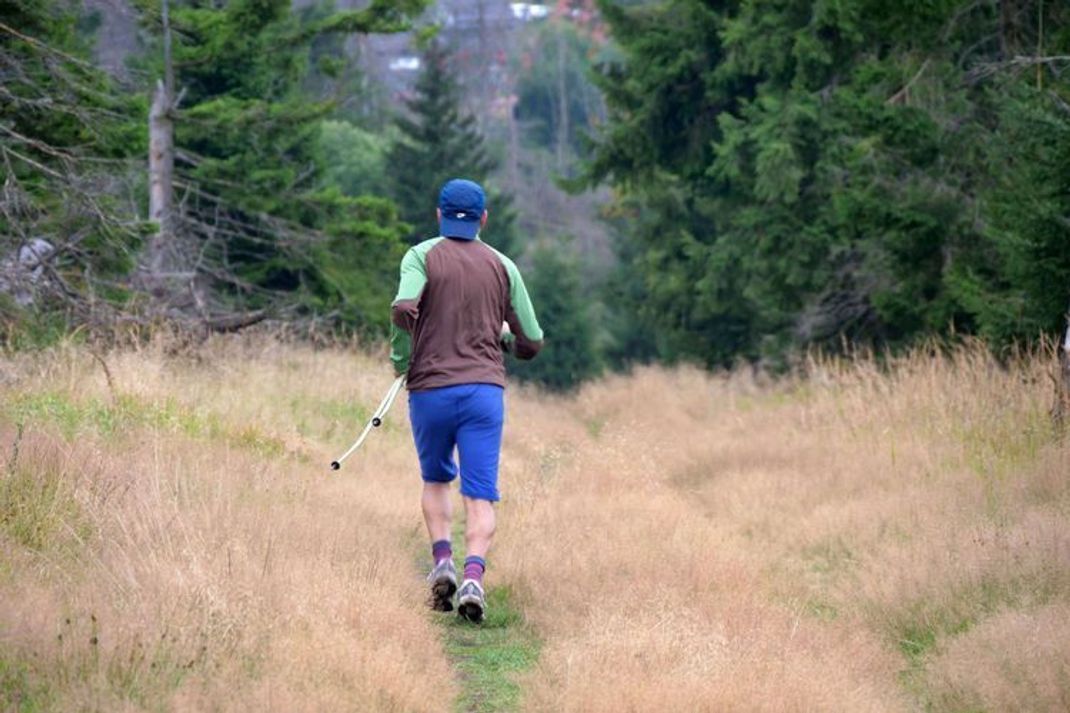 Sport im Wald