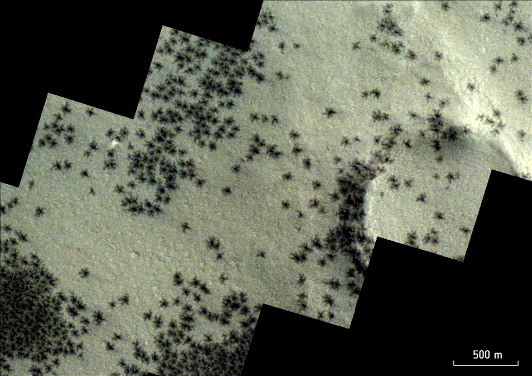ExoMars TGO-Ansicht von Eisspinnen auf der Mars-Oberfläche. 