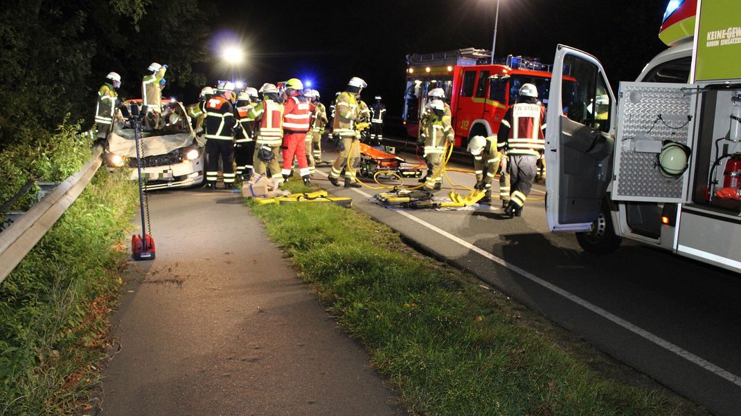 Nach dem Zusammenstoß mit den Pferden kam für den Taxifahrer jede Hilfe zu spät.