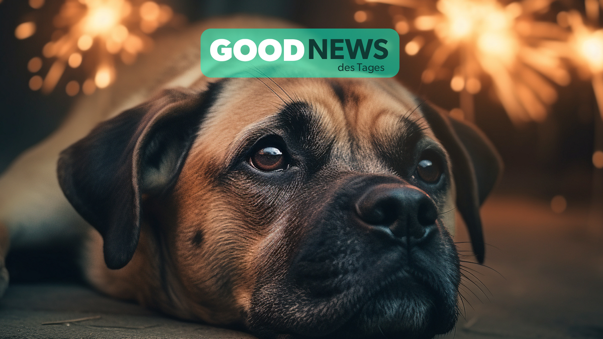 Good News des Tages