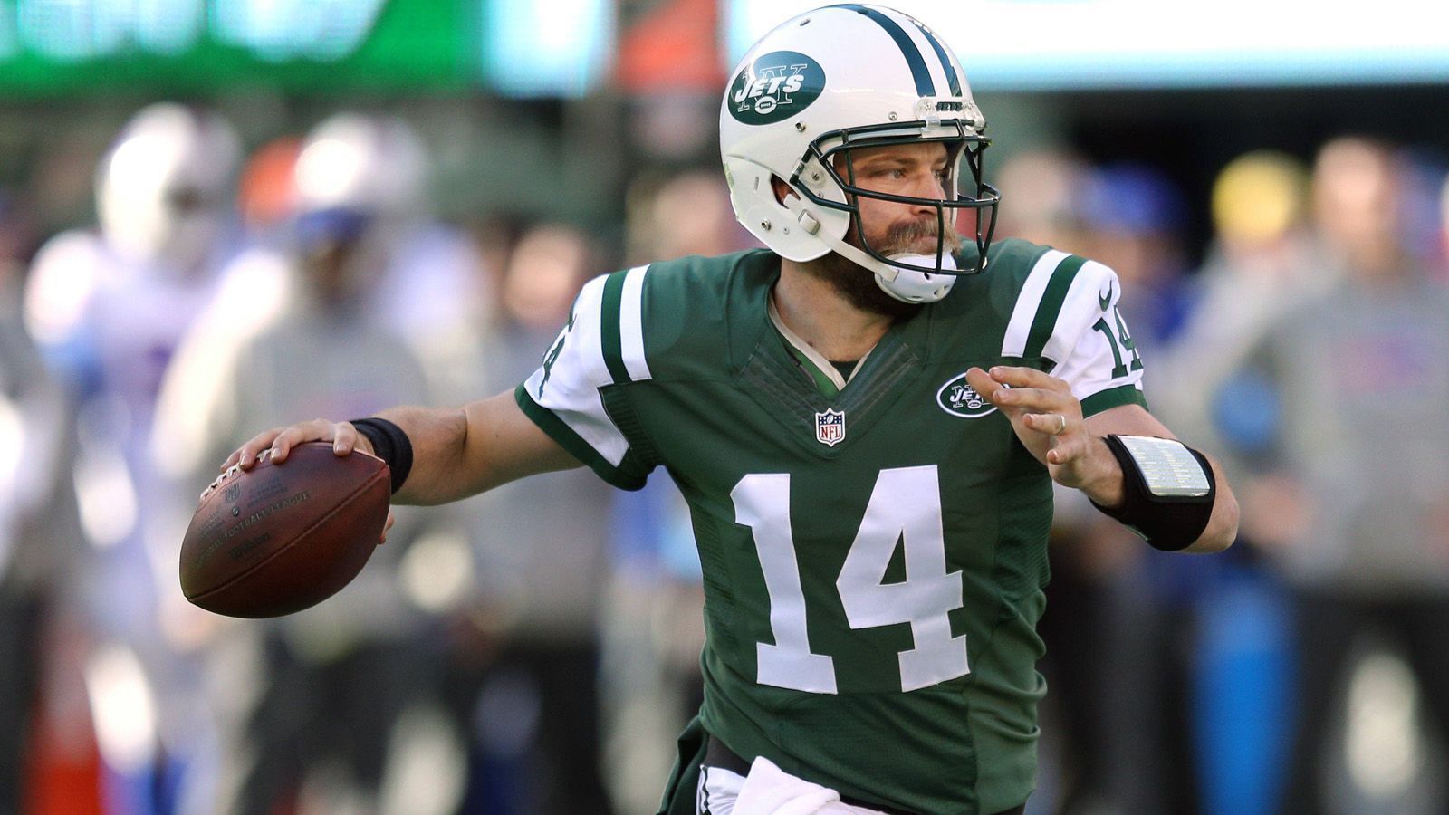 
                <strong>Ryan Fitzpatrick</strong><br>
                &#x2022; Im Team: 2015-2016<br>&#x2022; Record: 13-14<br>
              