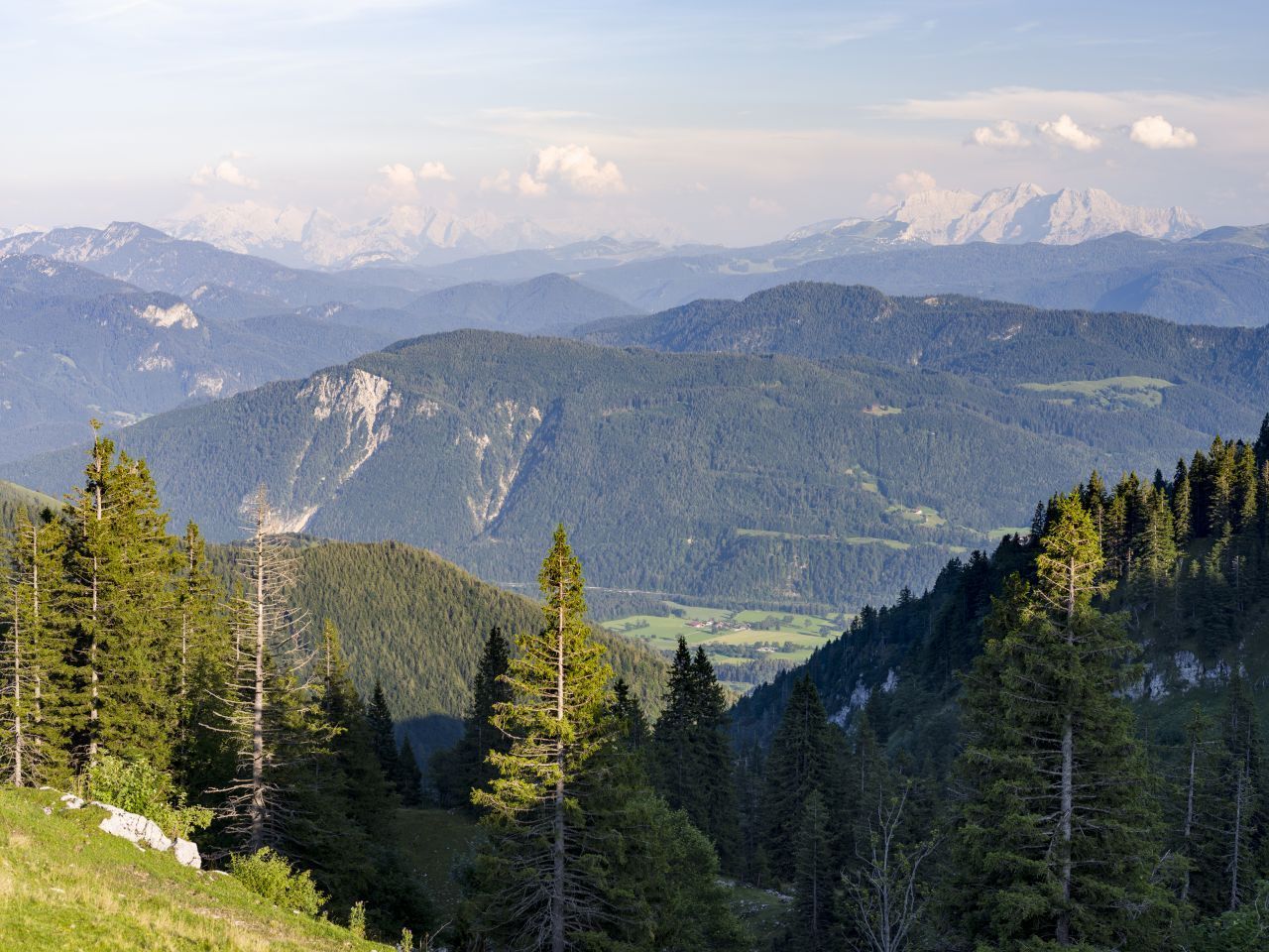 Dahinter folgende Naturschutzgebiete wie die Östlichen Chiemgauer Alpen oder Stechlin in Brandenburg sind schon kleiner als 10.000 Hektar.