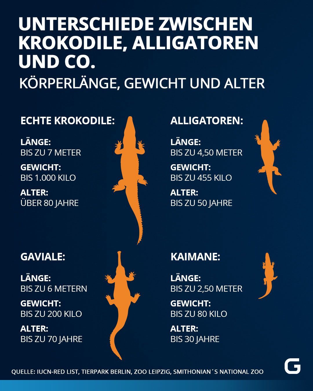 Unterschied Krokodil, Alligator, Kaiman, Gavial: Körperlänge, Gewischt und Alter im Vergleich. 