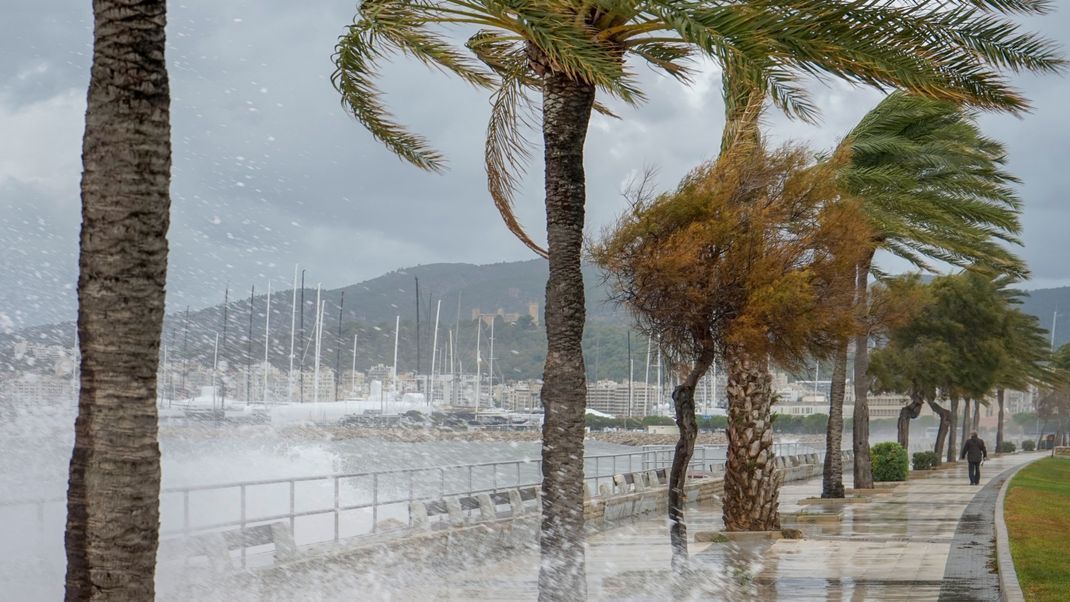 Auf der beliebten Urlaubsinsel Mallorca wurde nun schon zum zweiten Mal innerhalb einer Woche die Warnstufe "Orange" wegen Unwetters ausgerufen.