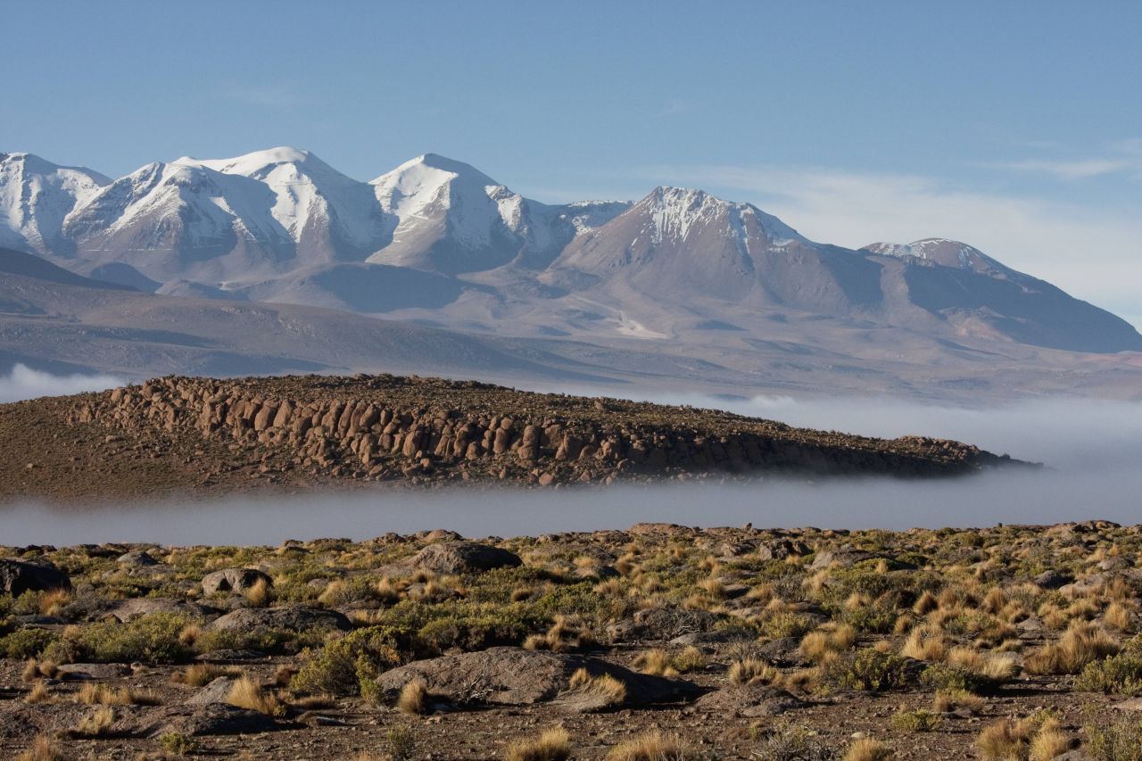 Die Atacamawüste in Chile gehört zu den sogenannten Nebelwüsten: Es regnet so gut wie nie, trotzdem treiben von der Pazifikküste her ständig dunstige Schwaden heran.