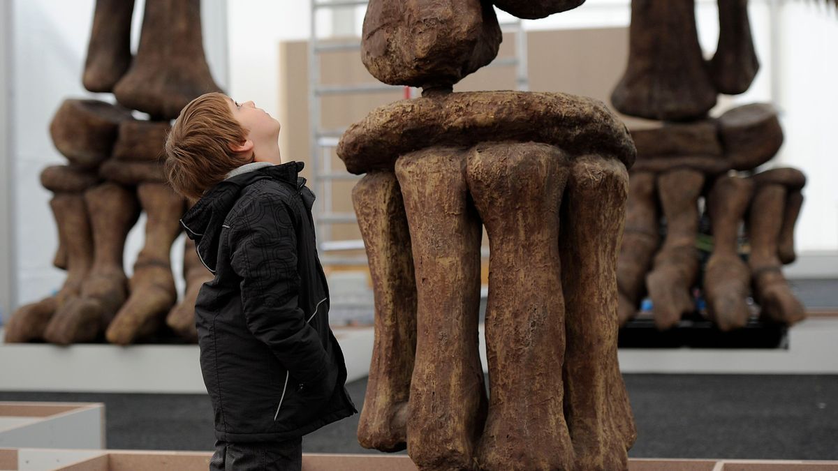 Geht's noch größer? Nicht viel, denn irgenwann macht Größe keinen Sinne mehr für Tiere 