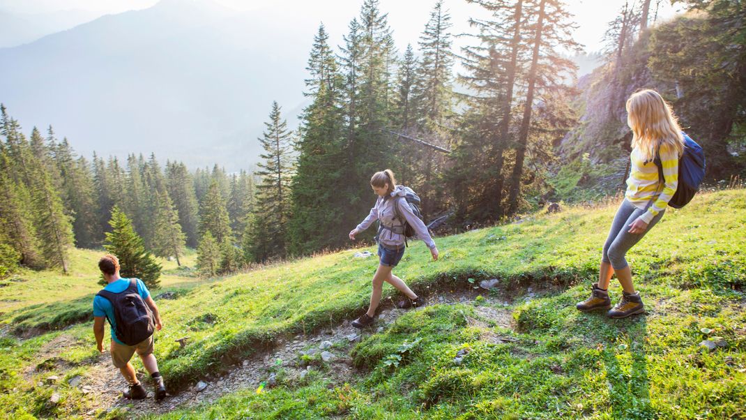 Entspannter Spaziergang oder ambitionierte Bergtour? Diese Wanderrouten sind unterschiedlich anspruchsvoll - und einfach wunderschön.&nbsp;