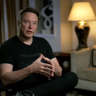 Elon Musk im Interview beim US-Sender Fox News