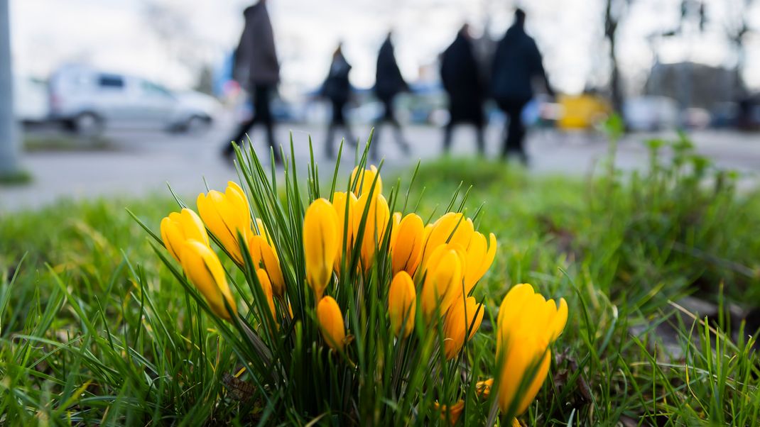 Die Temperaturen in Deutschland könnten im März wieder in den Minusbereich rutschen.