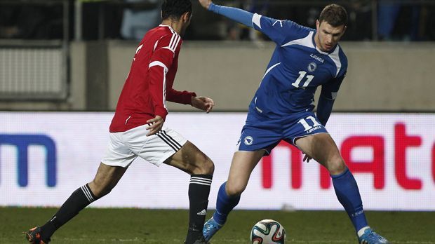 
                <strong>Edin Dzeko</strong><br>
                Messi und Enyeama werden es in der Vorrunde auch mit Edin Dzeko, Bundesliga-Torschützenkönig von 2010, zu tun bekommen. Mit zehn Toren schoss er Bosnien-Herzegowina zur ersten WM-Teilnahme ihrer Fußball-Geschichte. 
              