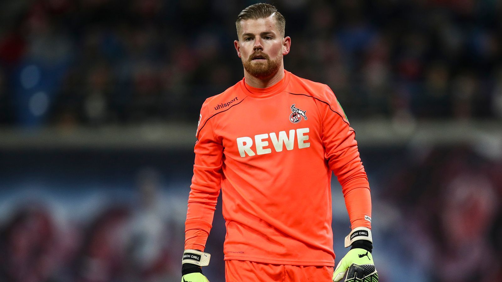 
                <strong>Towart: Timo Horn</strong><br>
                Die Wahl im Tor fällt natürlich leicht - trotz namhafter Konkurrenz um Stefan Wessels und Farid Mondragon. Der gebürtige Kölner Timo Horn steht mittlerweile seit acht Jahren als Stamm-Torhüter zwischen den Pfosten und stieg zweimal mit dem Verein ab und wieder auf. Er hatte maßgeblichen Anteil an der historischen Europapokalsaison und blieb dem Verein trotz einiger Angebote größerer Klubs treu.
              