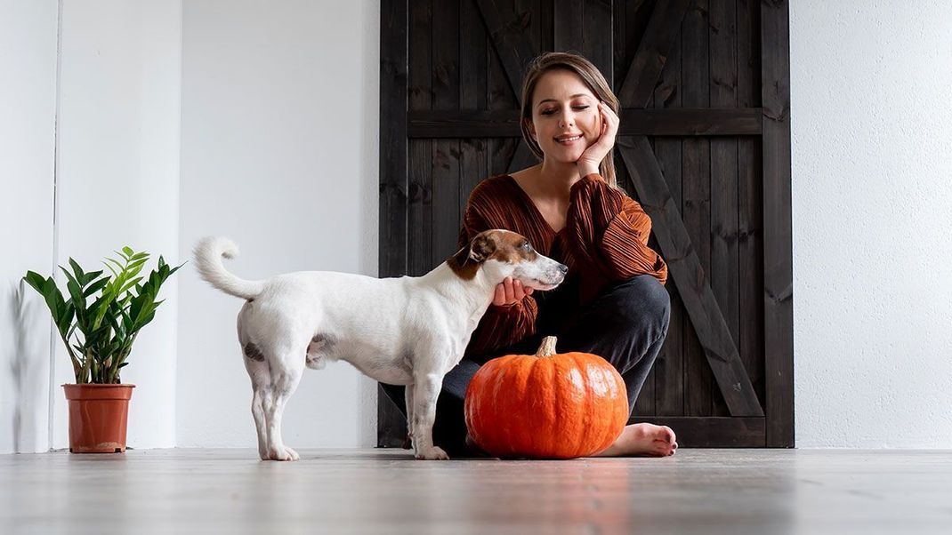 Duftende Make-up-Produkte, pflegende Beauty-Masken und mehr. Wir verraten euch, warum das Herbst-Gemüse, der Kürbis, jetzt in aller Munde ist.