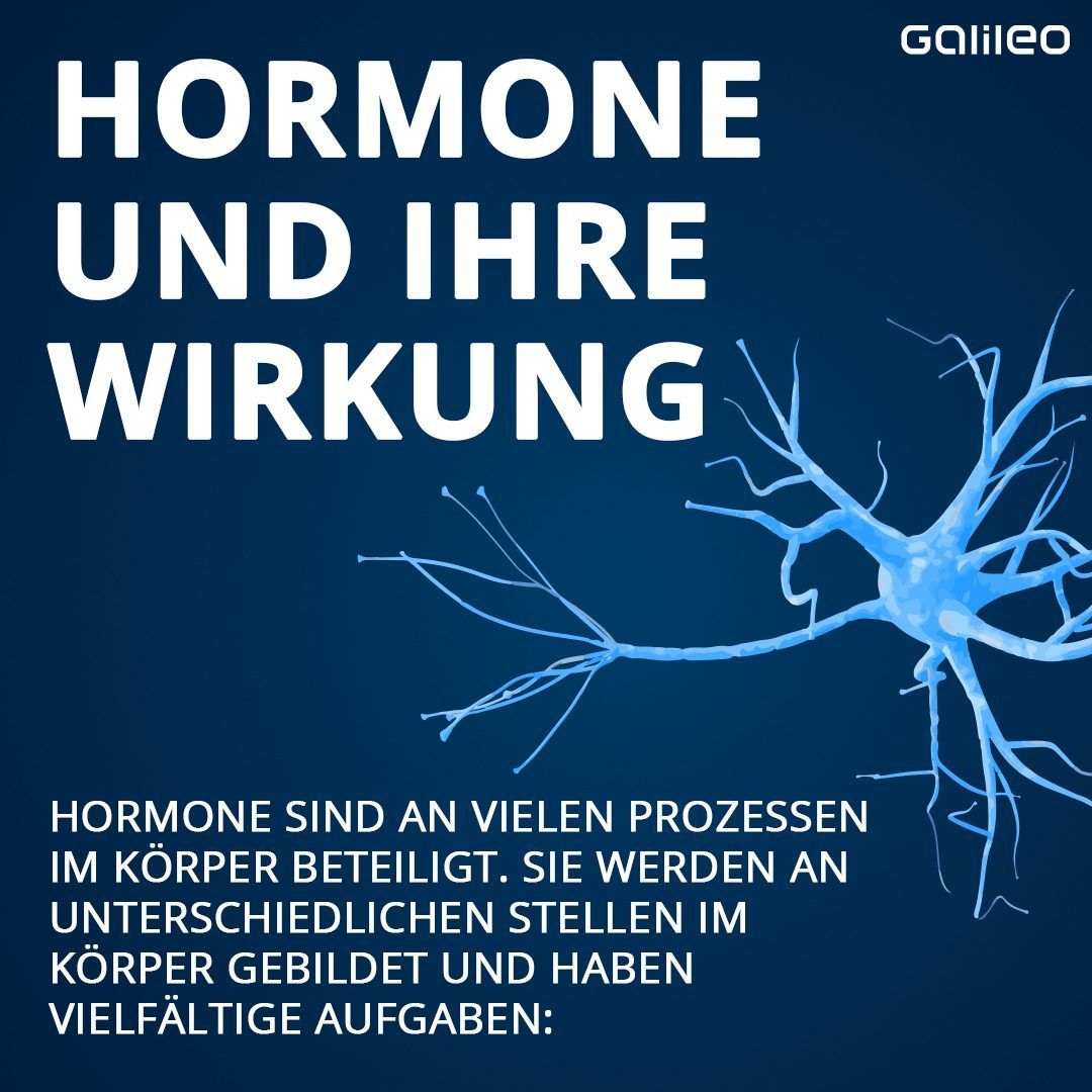 Hormone und ihre Wirkung auf den Körper