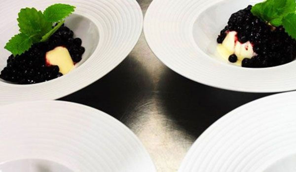 Panna Cotta mit Blaubeeren_600x348_kabel eins