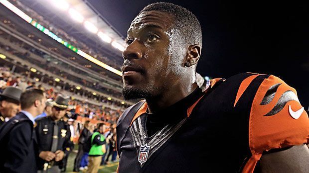 
                <strong>AJ Green ist Bengals' Konstante</strong><br>
                AJ Green läuft wie ein Uhrwerk. Der Wide Receiver erreicht in seiner fünften NFL-Saison zum fünften Mal mindestens 1000 Receiving Yards im Trikot der Cincinnati Bengals - einmalig in der Franchise-Historie. Nur Randy Moss kann da noch einen draufsetzen: Der Ex-Profi überspringt diese magische Marke in seinen ersten sechs Spielzeiten für die Minnesota Vikings. Nach dieser NFL-Bestmarke greift Green dann nächstes Jahr.
              