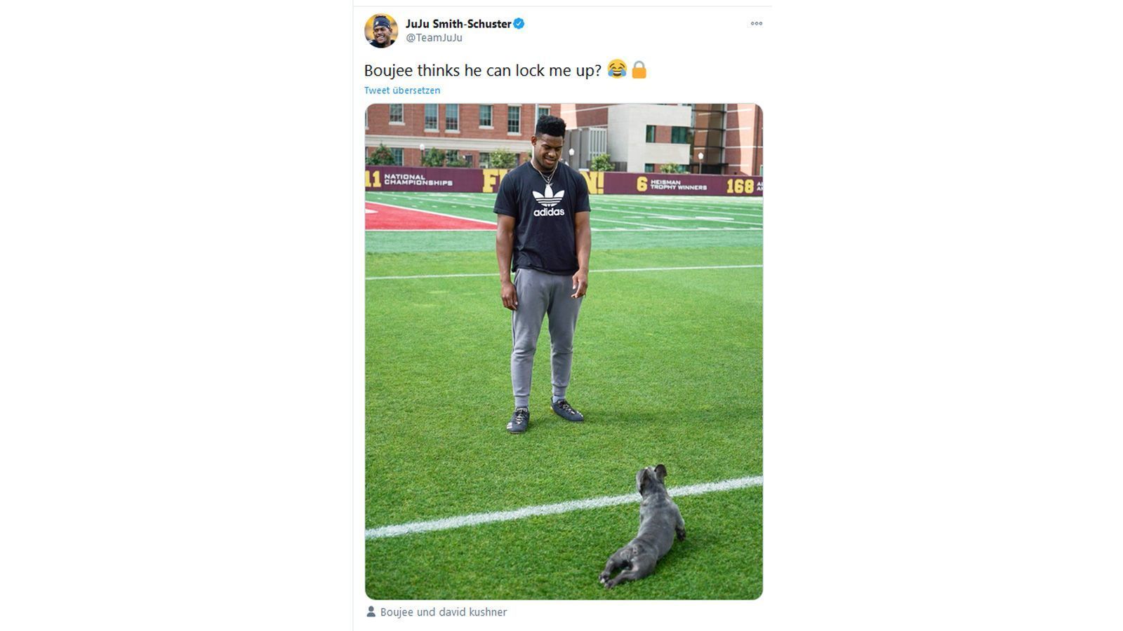 
                <strong>Boujee als Cornerback?</strong><br>
                Auf Smith-Schusters Twitter-Account taucht das gleiche Bild auf, mit einer etwas weniger romantischen Beschreibung. "Boujee denkt, er könnte mich aus dem Spiel nehmen", schreibt der Receiver und fügt ein Lachsmiley an.
              