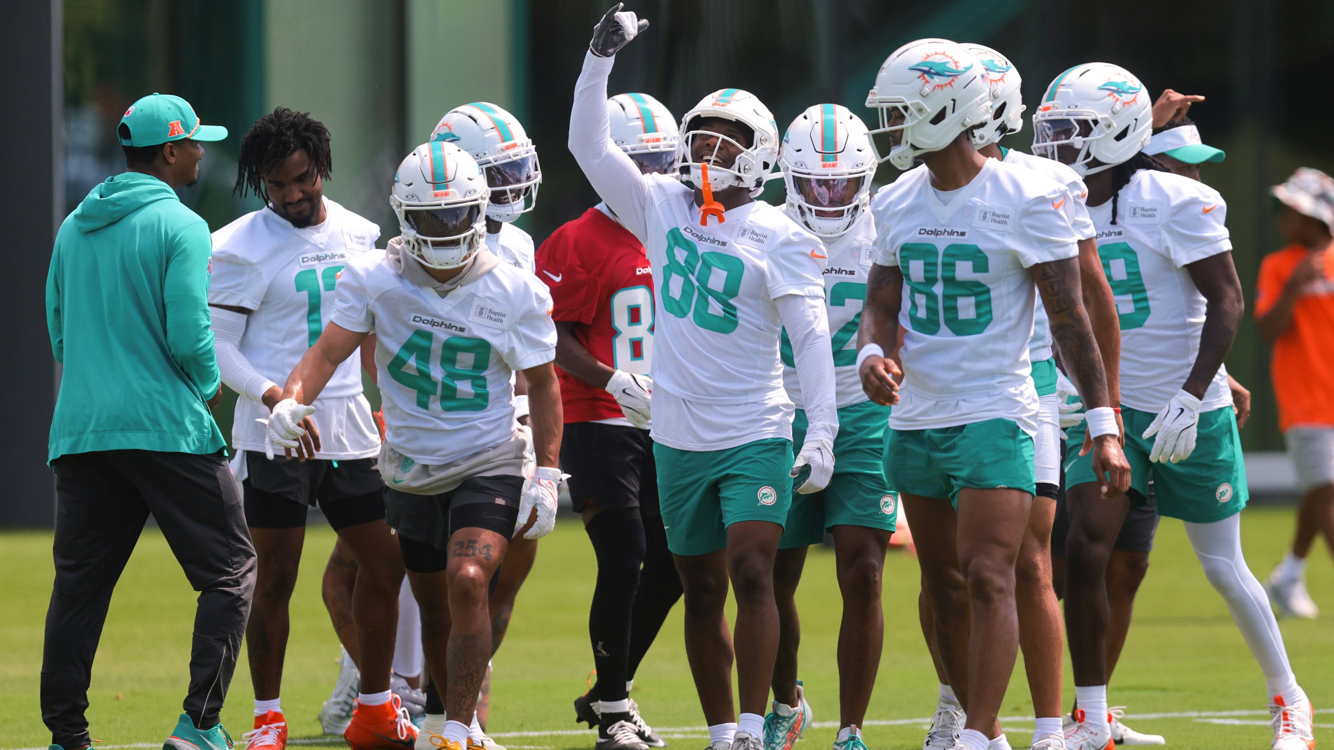 <strong>Miami Dolphins</strong><br>Anzahl Unentschieden: 4