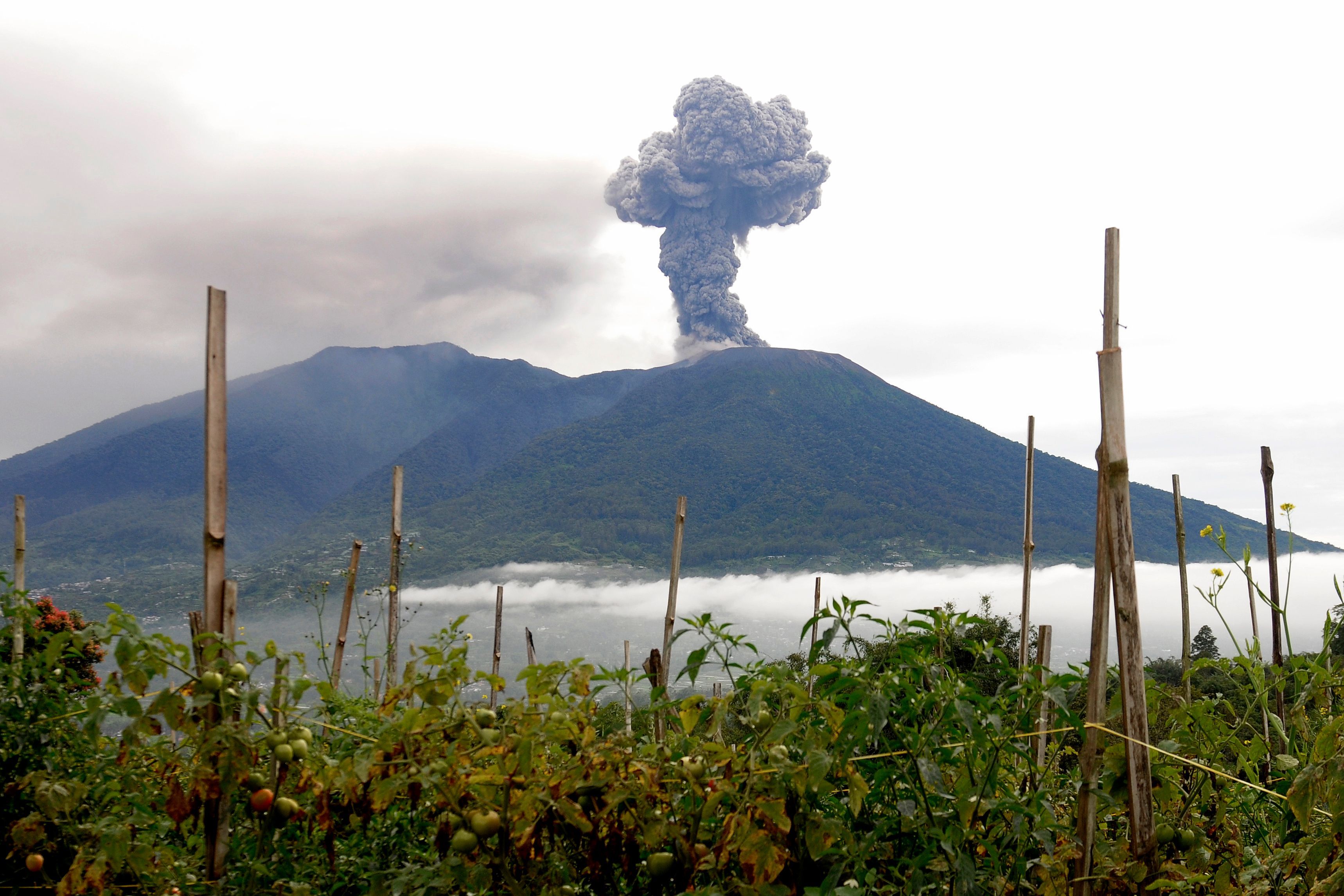 Auf Sumatra ist am Sonntag (3. Dezember) der Vulkan Marapi ausgebrochen.