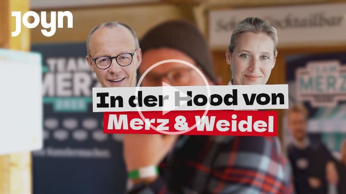 Merz und Weidel