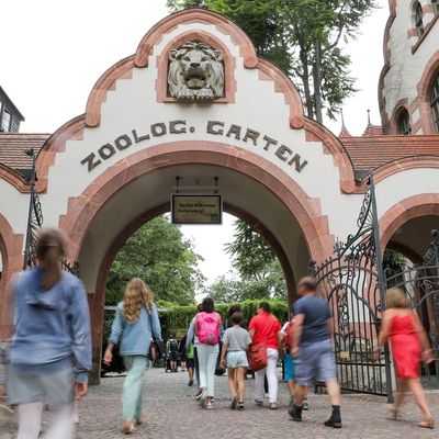 Besucher im Zoo Leipzig