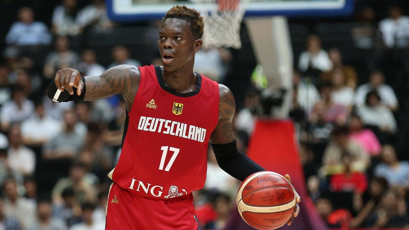 
                <strong>Dennis Schröder (25, Deutschland) </strong><br>
                Team: Oklahoma City ThunderPosition: Point GuardIn der NBA seit: 2013
              