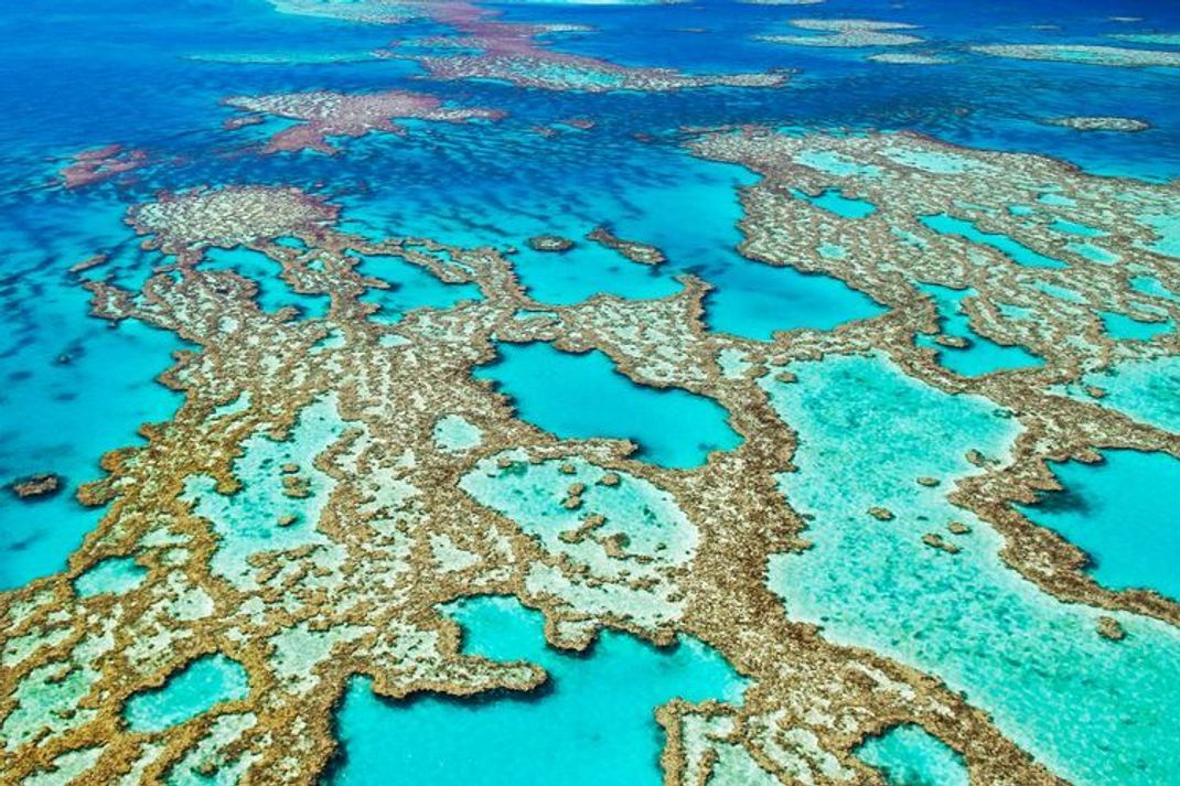 Klimawandel: Das Great Barrier Reef zeigt das ganze Dilemma