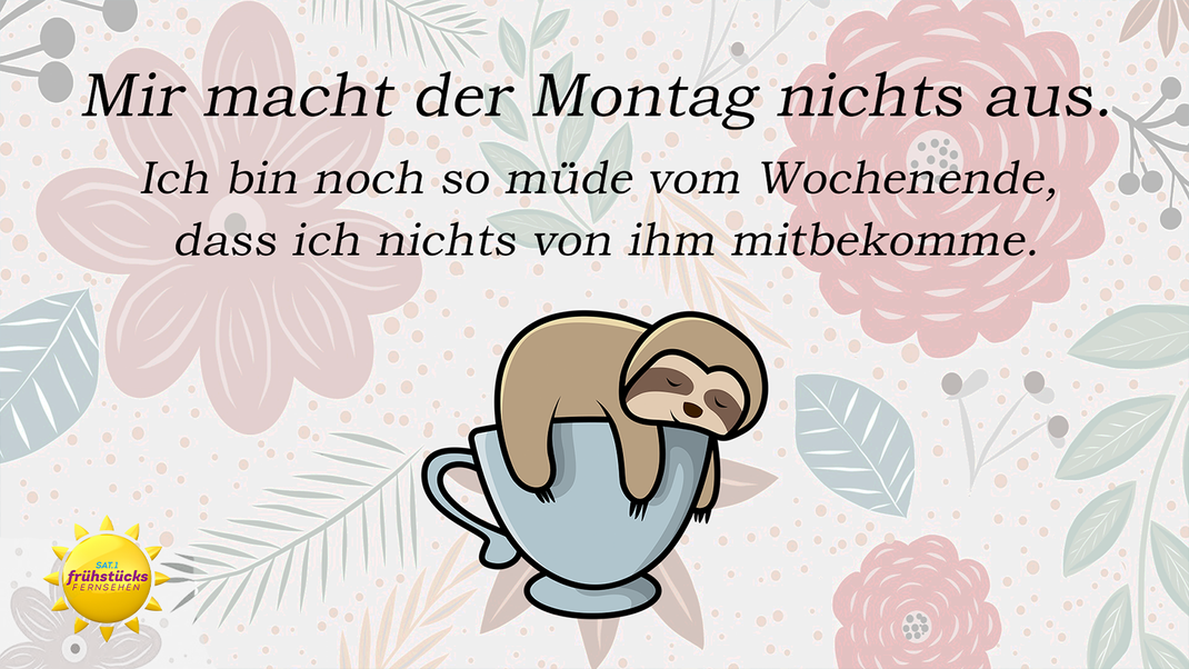 Ein relaxter Spruch und ein Faultier dazu - verschicke entspannte Grüße zum Montag.