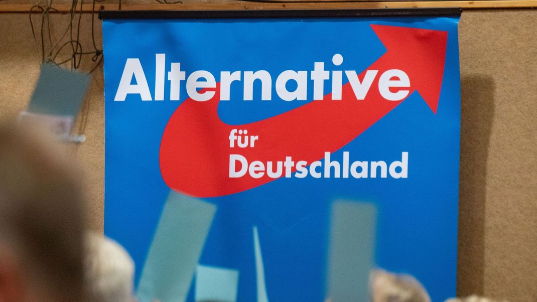 Die AfD soll aus ihrer Fraktion im Europaparlament ausgeschlossen werden.