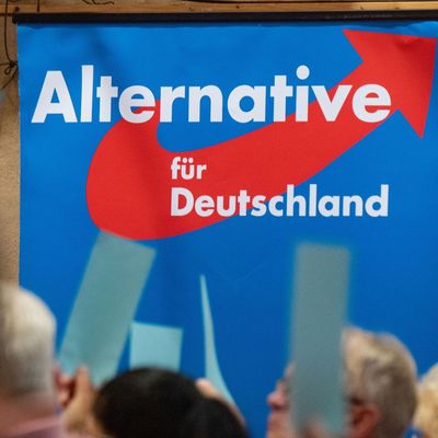 Plakat AfD