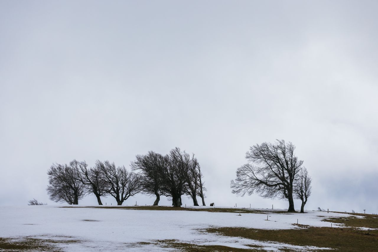 Über freien Flächen waren die Winde besonders stark.