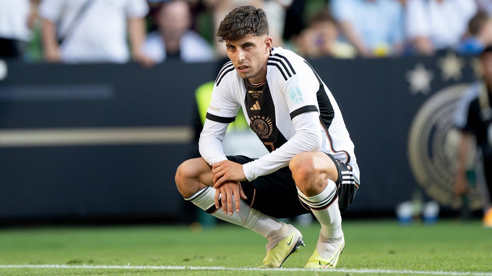 
                <strong>OFFENSIVES MITTELFELD: Kai Havertz </strong><br>
                Was viele vergessen: Der England-Legionär, der vor einem Wechsel zu Arsenal steht, ist erst 24 Jahre alt. Und seine angebliche Schwäche ist eher seine Stärke: Havertz ist auf allen Offensivpositionen einsetzbar – zentral hinter den Spitzen, auf den Flügeln oder als zweiter Stürmer. Auch dieses Geschenk muss nach zwei vergebenen Turnieren endlich von einem Bundestrainer genutzt werden. 
              