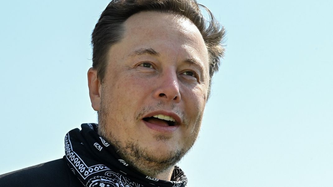 Elon Musk scheint Trumps Twitter-Comeback in die Wege leiten zu wollen.