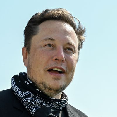 Elon Musk scheint Trumps Twitter-Comeback in die Wege leiten zu wollen.