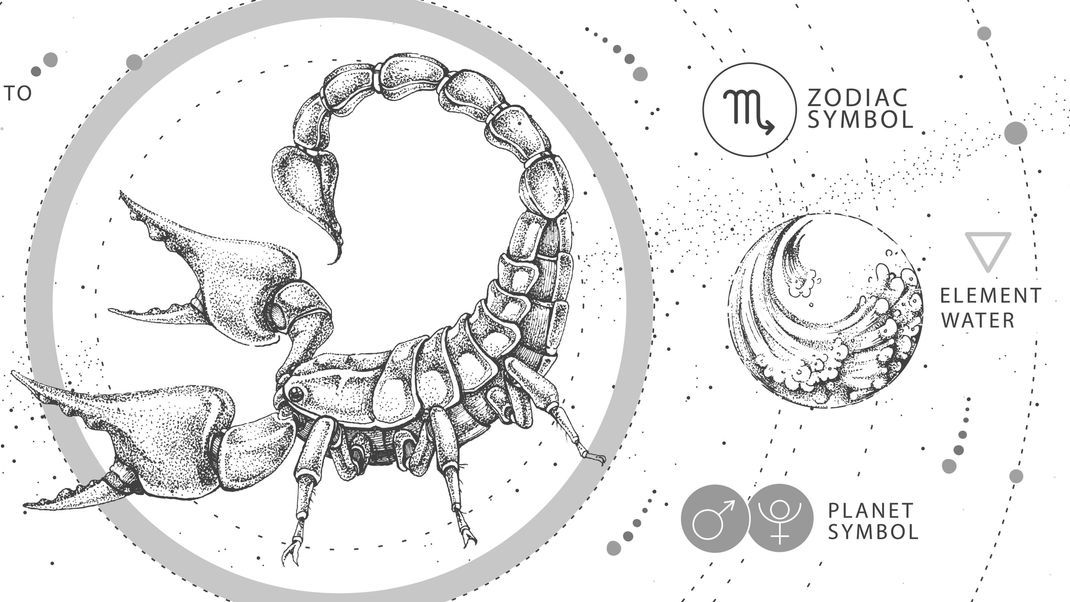 Das Skorpion-Symbol, eindeutig als stilisierter Skorpionschwanz rechts oben bei "Zodiac Symbol" zu erkennen, spiegelt die Intensität, Leidenschaft und Entschlossenheit der Skorpione wider.