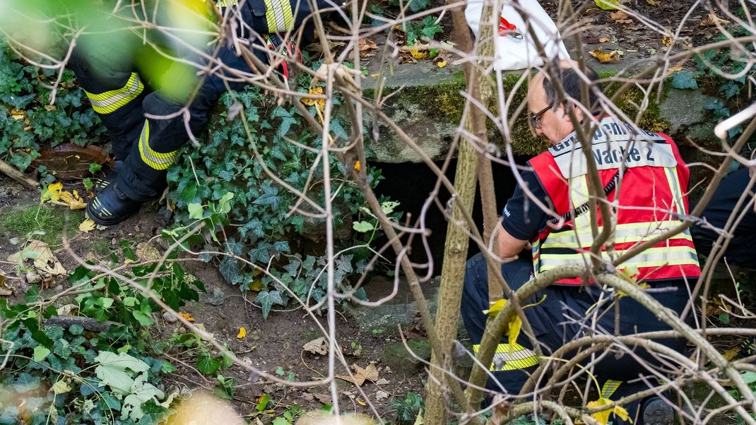 Einsatzkräfte sind nach dem Fund einer Leiche in einem historischen Schacht an der Bastion Martin im Einsatz. Der Leichnam wurde bei Baumpflegearbeiten am Eingang zu dem unterirdischen Tunnelsystem entdeckt.