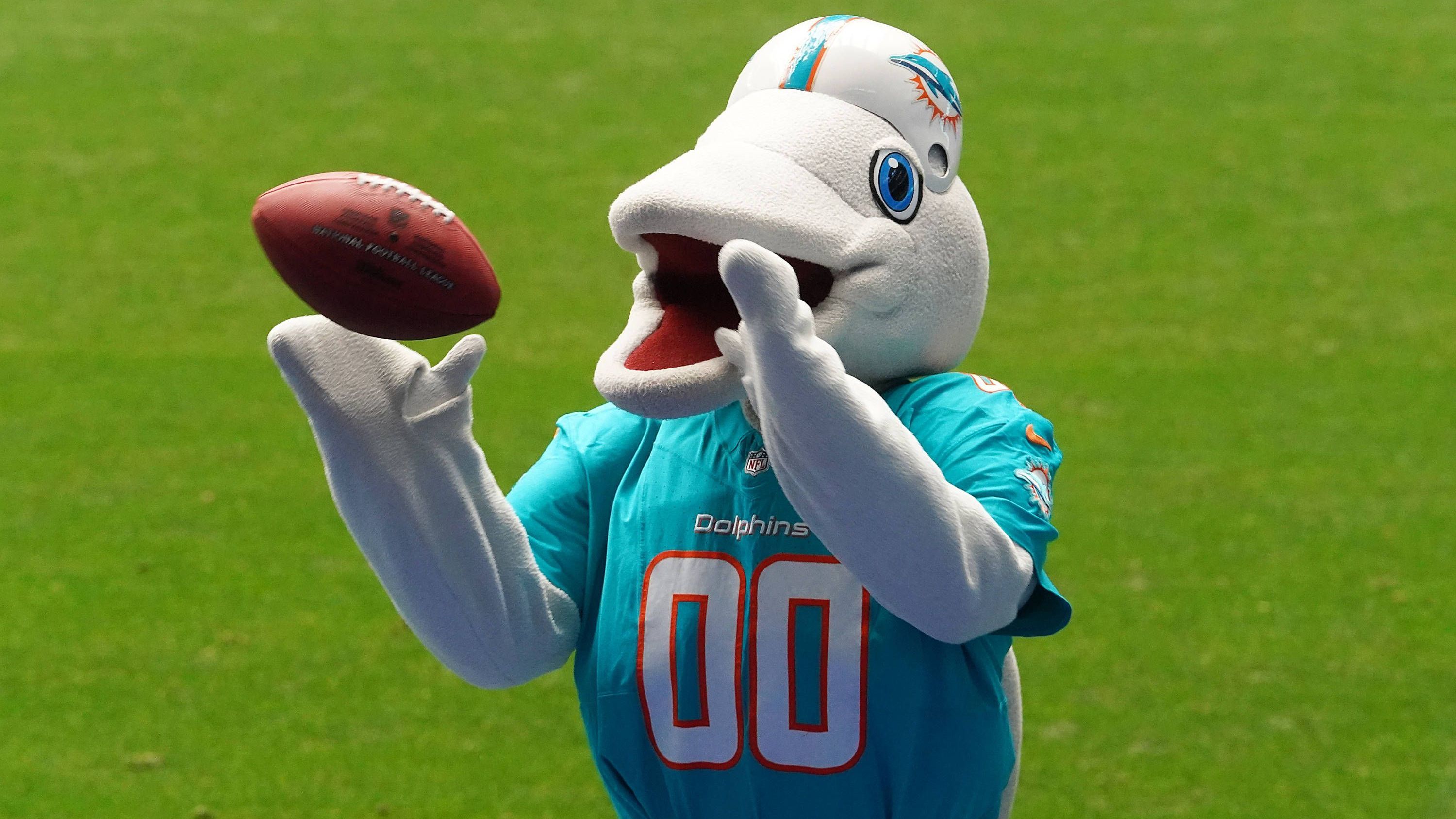 <strong>Miami Dolphins</strong><br>Note: A+